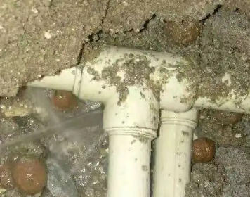 云龙测漏水多少钱